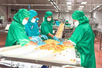 Fruit potting (1)